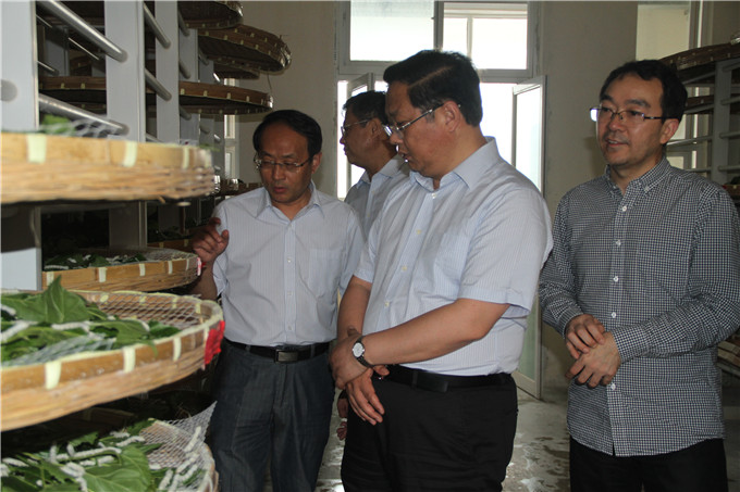 王正喜调研江宁G13地块和红豆
蚕种公司