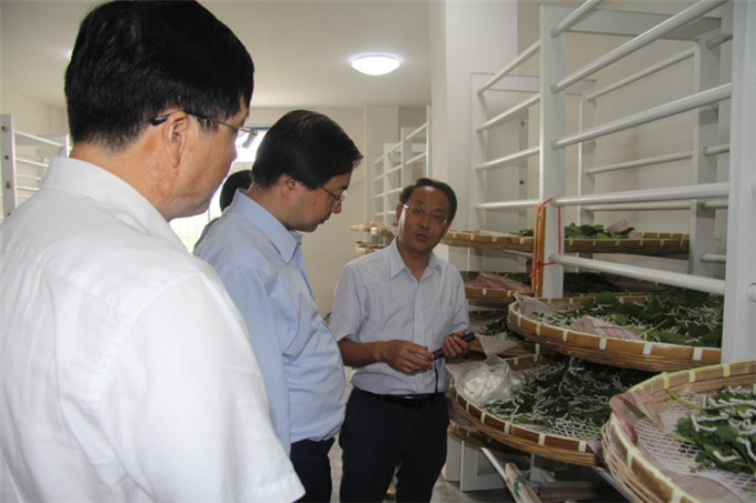 周勇到红豆
蚕种公司等企业开展“三严三实”专题调研