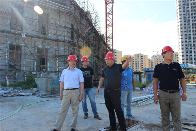 红豆
建设领导赴爱涛置地公司开展“三严三实”专题调研