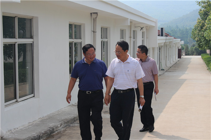 省国资委副主任王正宇赴红豆
蚕种公司开展“三解三促”活动