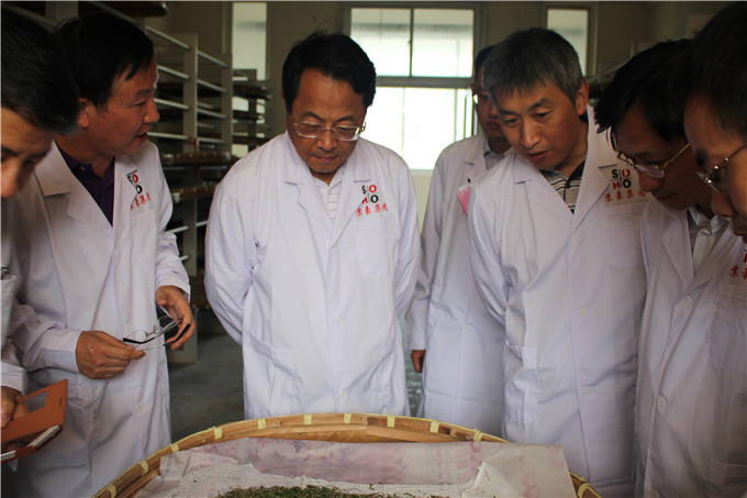 省国资委副主任王正宇赴红豆
蚕种公司开展“三解三促”活动