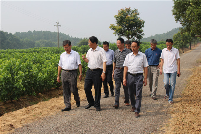 省国资委副主任王正宇赴红豆
蚕种公司开展“三解三促”活动