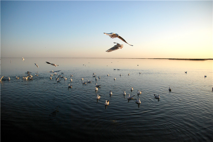 红豆
股份举办“不一样的今秋”摄影作品展