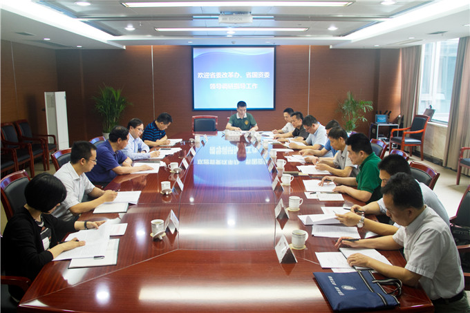 省委改革办、省国资委到集团调研混合所有制改革情况