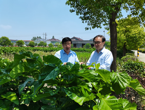 1683610960683742.png 5.png