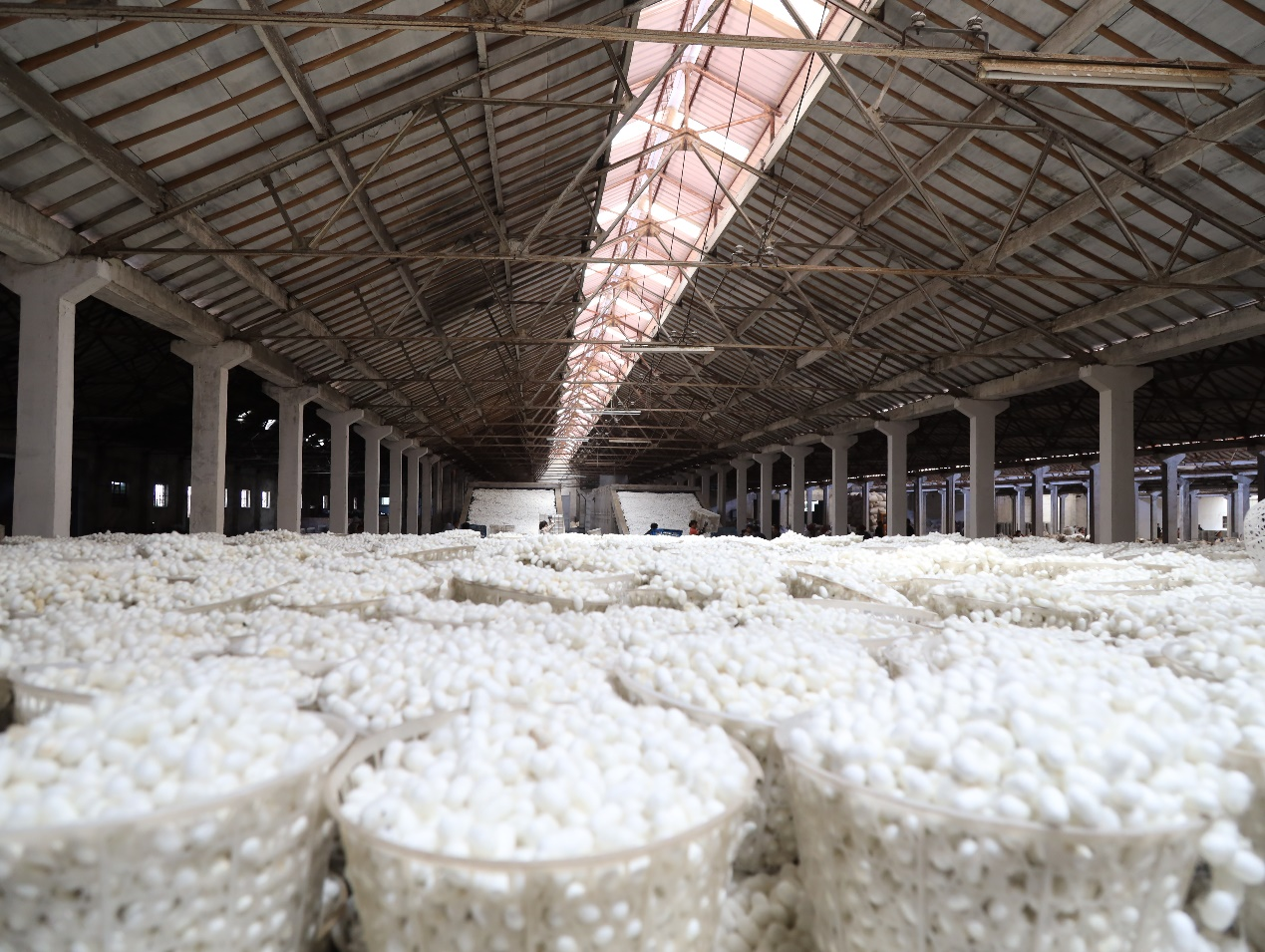 1688455635317805.png ͼƬ1.png