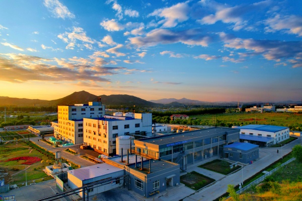 1719203719828269.jpg 2_副本.jpg